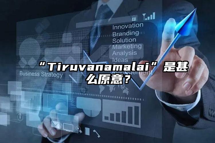 “Tiruvanamalai”是甚么原意？