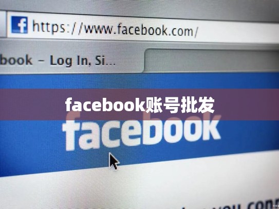 facebook账号批发