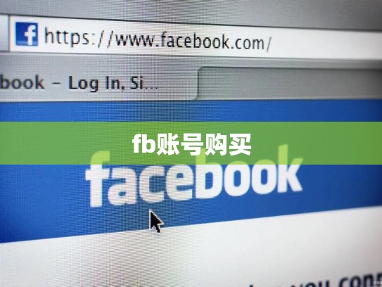 fb账号购买