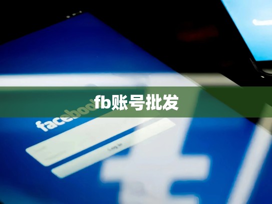 fb账号批发