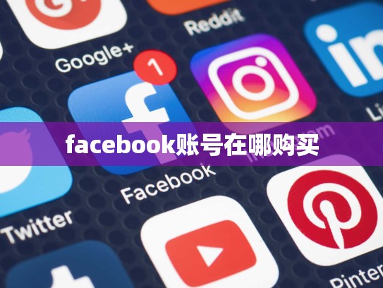 facebook账号在哪购买