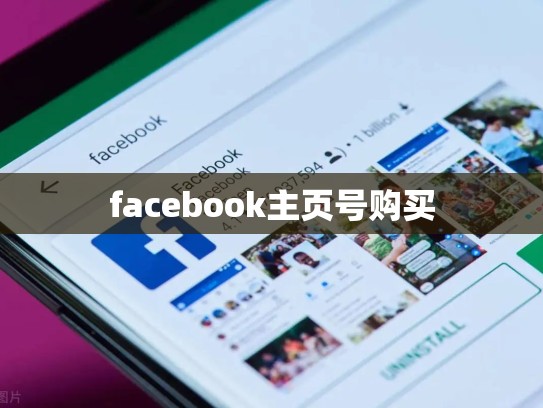 facebook主页号购买