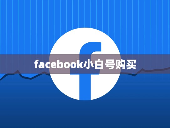 facebook小白号购买