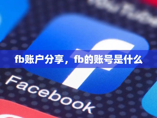 fb账户分享，fb的账号是什么