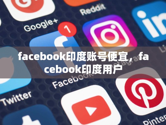 facebook印度账号便宜，facebook印度用户
