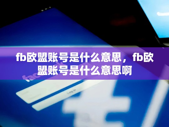 fb欧盟账号是什么意思，fb欧盟账号是什么意思啊