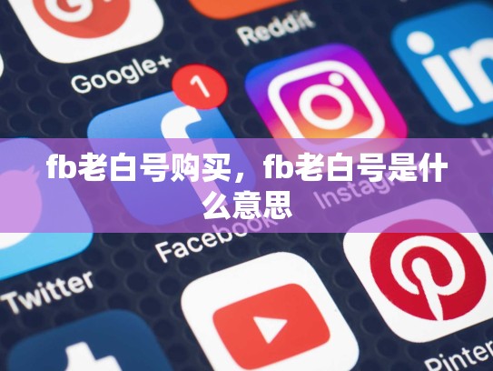 fb老白号购买，fb老白号是什么意思