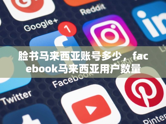 脸书马来西亚账号多少，facebook马来西亚用户数量