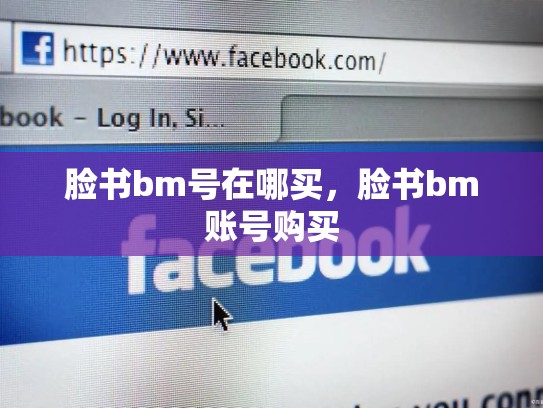 脸书bm号在哪买，脸书bm账号购买