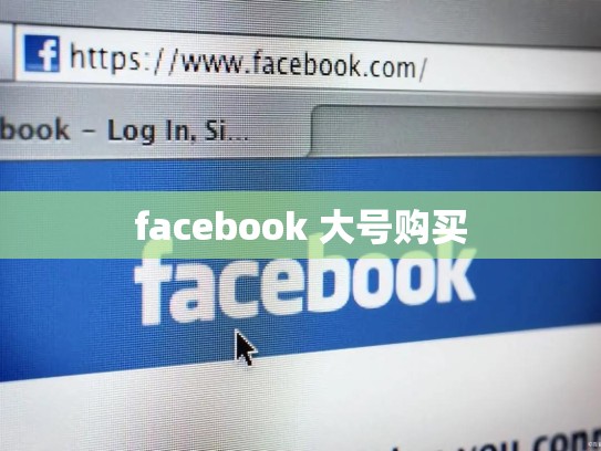 facebook 大号购买