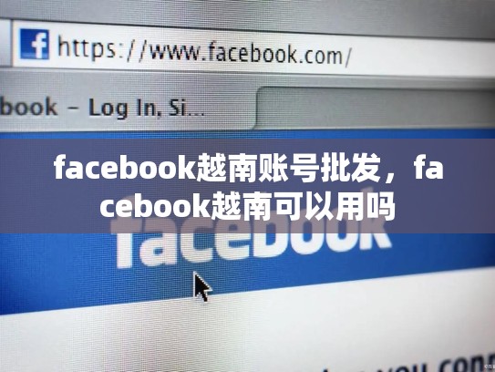 facebook越南账号批发，facebook越南可以用吗
