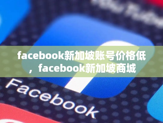 facebook新加坡账号价格低，facebook新加坡商城