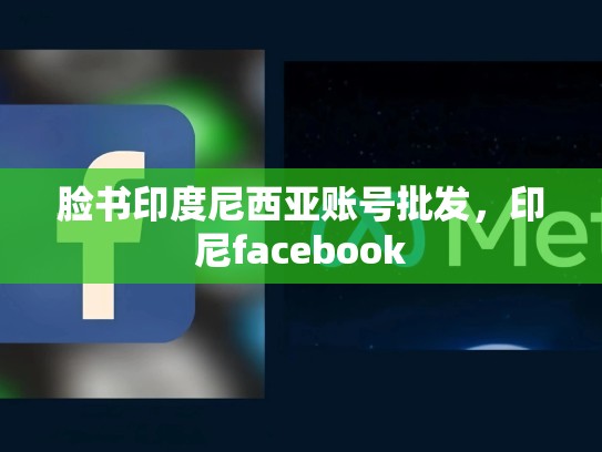脸书印度尼西亚账号批发，印尼facebook