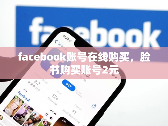 facebook账号在线购买，脸书购买账号2元