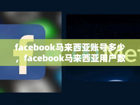 facebook马来西亚账号多少，facebook马来西亚用户数量