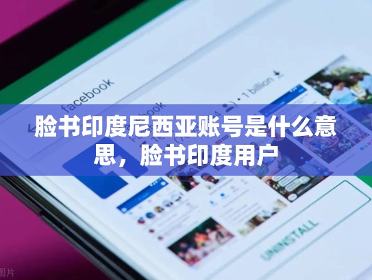 脸书印度尼西亚账号是什么意思，脸书印度用户