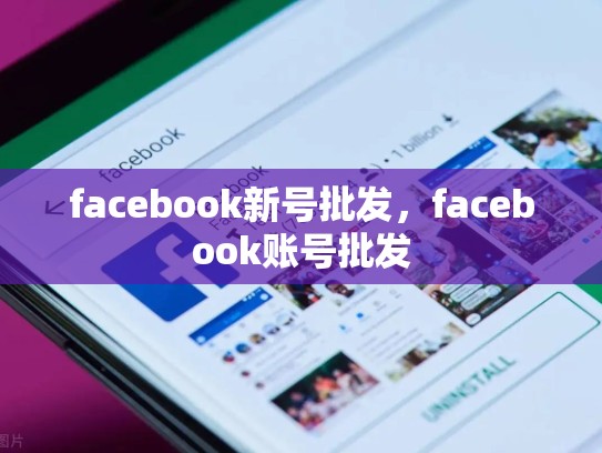 facebook新号批发，facebook账号批发