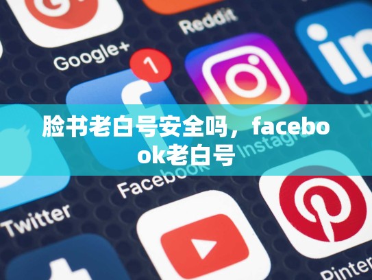 脸书老白号安全吗，facebook老白号