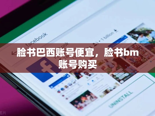 脸书巴西账号便宜，脸书bm账号购买