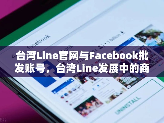 台湾Line官网与Facebook批发账号，台湾Line发展中的商业机遇与挑战，台湾line账号大全