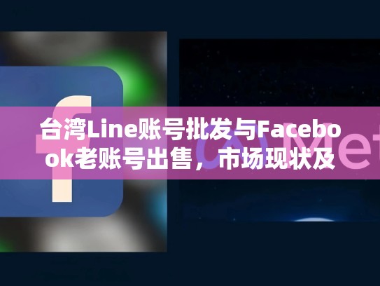 台湾Line账号批发与Facebook老账号出售，市场现状及未来趋势，台湾line账号购买