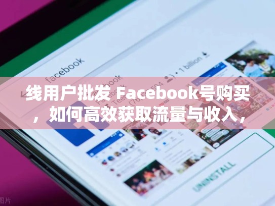 线用户批发 Facebook号购买，如何高效获取流量与收入，line出售