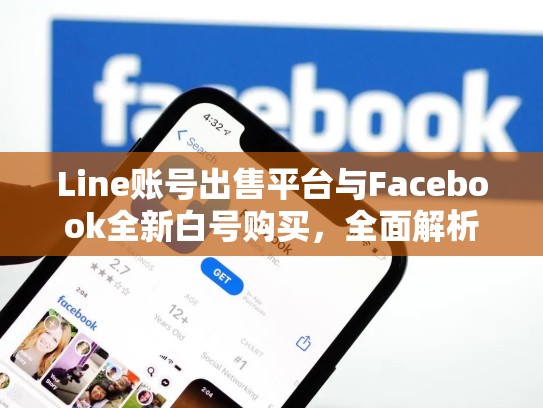 Line账号出售平台与Facebook全新白号购买，全面解析与策略建议，line账号出售 fk平台