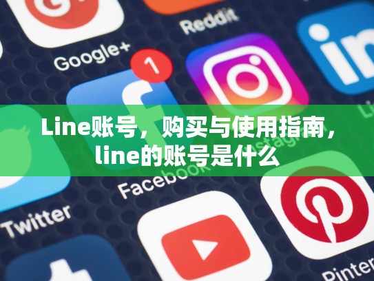 Line账号，购买与使用指南，line的账号是什么