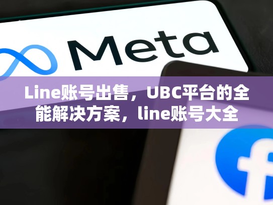 Line账号出售，UBC平台的全能解决方案，line账号大全