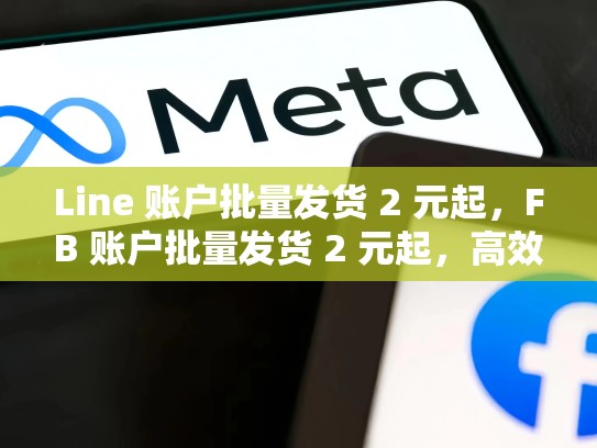 Line 账户批量发货 2 元起,FB 账户批量发货 2 元起,高效节省成本,灵活便捷!