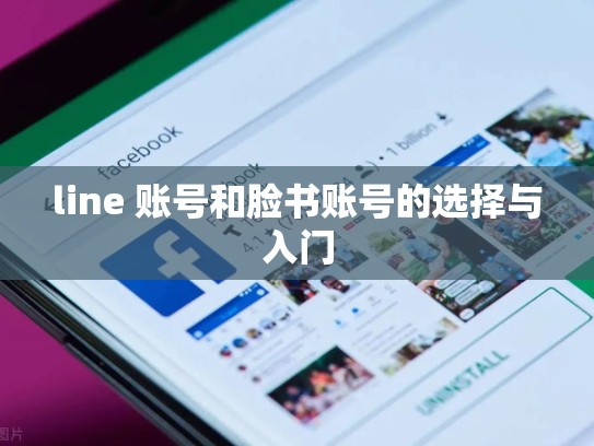 line 账号和脸书账号的选择与入门