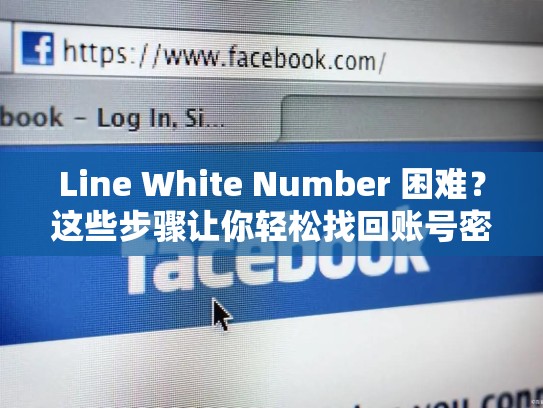 Line White Number 困难?这些步骤让你轻松找回账号密码!