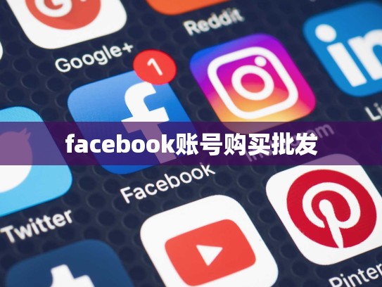 facebook账号购买批发